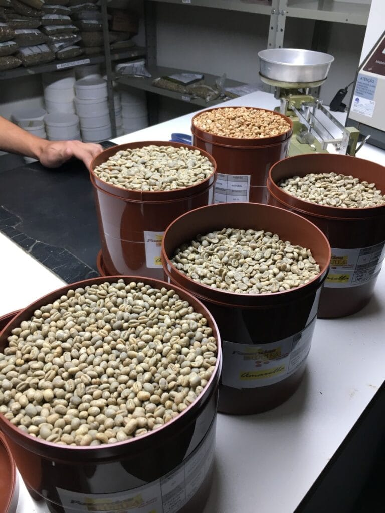 Espresso Costs Eager to Surge Amid Provide Chain Disruptions