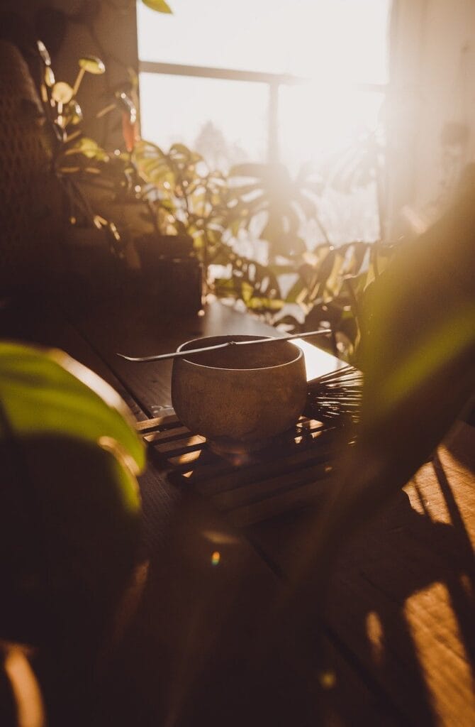 Healthy Alternatives to Coffee for Dieting