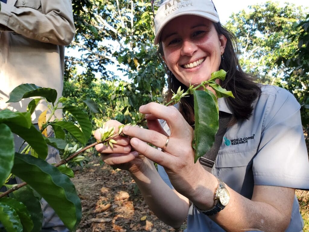 Global Espresso Analysis CEO Highlights the Group’s Achievements for 2024