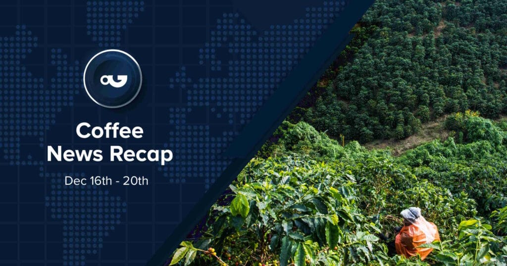 Espresso Information Recap, 20 Dec: EU greenlights deforestation legislation extend, regulations introduced for 2025 Global Espresso Championships & alternative tales