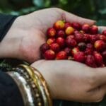 Mexican Coffee: A Tale of Rich Heritage and Unique Flavors