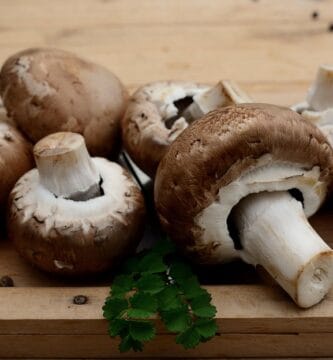 Going Green: Why Natural Ingredients are the Future of Personal Care Products