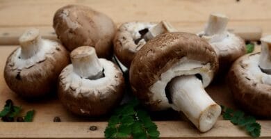 Going Green: Why Natural Ingredients Are The Future Of Personal Care Products Going Green: Why Natural Ingredients Are The Future Of Personal Care Products