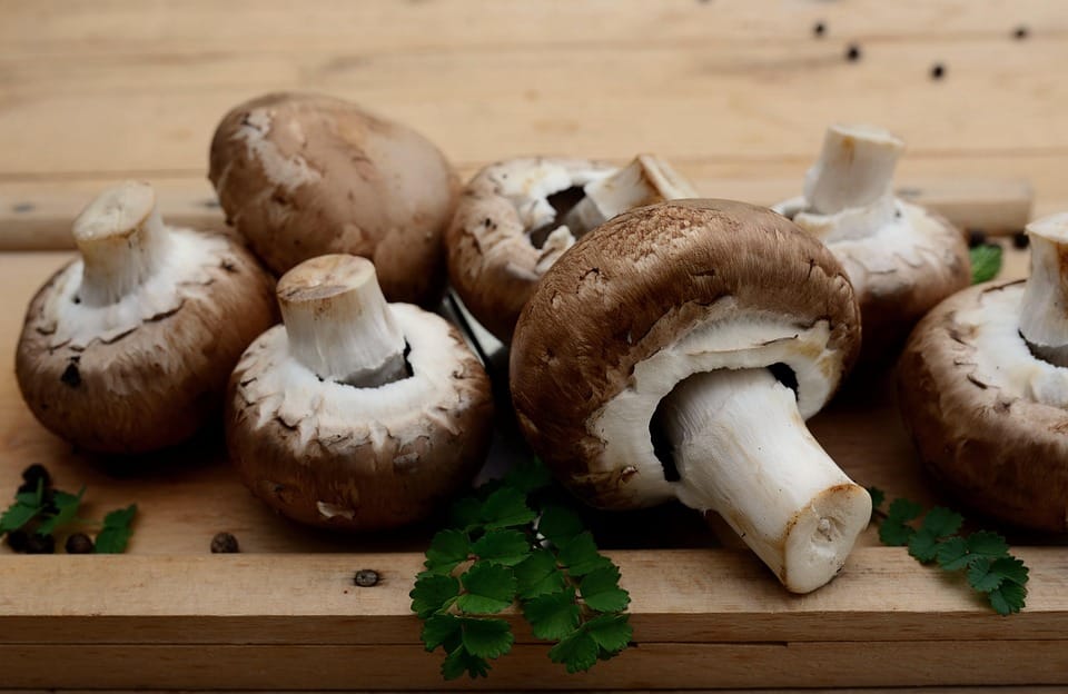Going Green: Why Natural Ingredients Are The Future Of Personal Care Products Going Green: Why Natural Ingredients Are The Future Of Personal Care Products