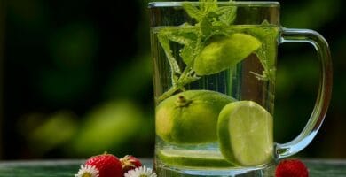 Top Herbal Detoxes For A Healthier You Top Herbal Detoxes For A Healthier You