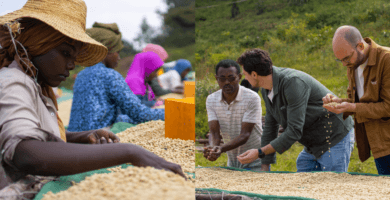 Why Direct Trade Is About More Than Ethical Business Practices Why Direct Trade Is About More Than Ethical Business Practices