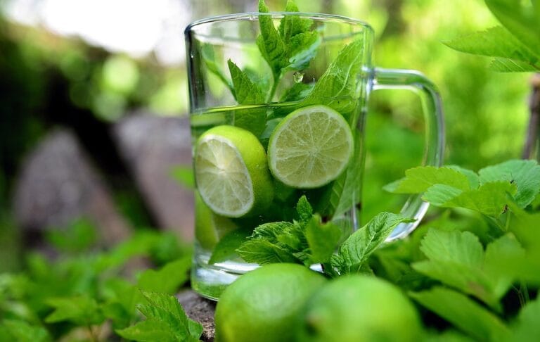 Herbal Detox: A Holistic Approach to Cleansing and Healing