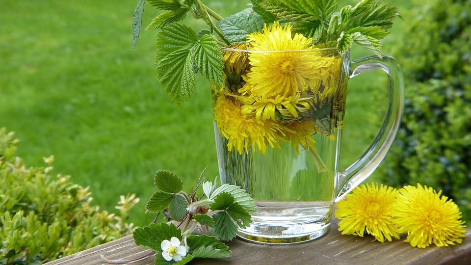 The Science Behind Herbal Detox: How It Works And Why It’S Important The Science Behind Herbal Detox: How It Works And Why It’S Important