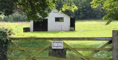 Bath and Balls: Celebrating Jane Austen’s Literary Legacy