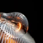 Energize Your Day: Simple Ways to Increase Your Energy Levels