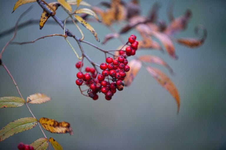 Expert Advice on Improving Your Gut Health for Optimal Wellness