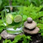 Herbal Detox: The Key to Boosting Your Immune System and Improving Your Health