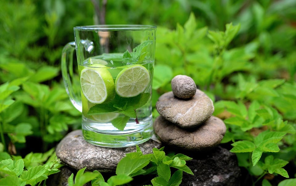Herbal Detox: The Key To Boosting Your Immune System And Improving Your Health Herbal Detox: The Key To Boosting Your Immune System And Improving Your Health