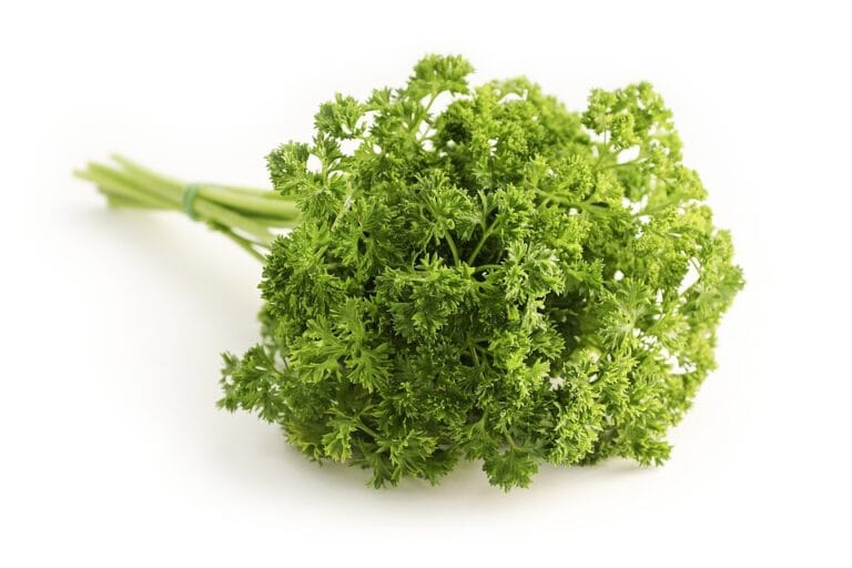 The Rise of Clean Beauty: How Natural Ingredients are Transforming the Industry
