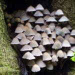 The Ultimate Guide to Boosting Your Metabolism and Achieving Your Weight Loss Goals