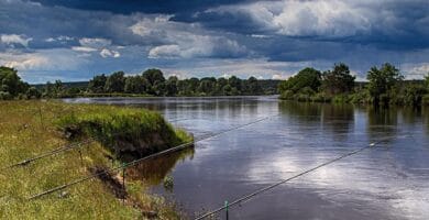 Top Wild Fishing Spots In The Uk Offering Diverse Experiences Top Wild Fishing Spots In The Uk Offering Diverse Experiences