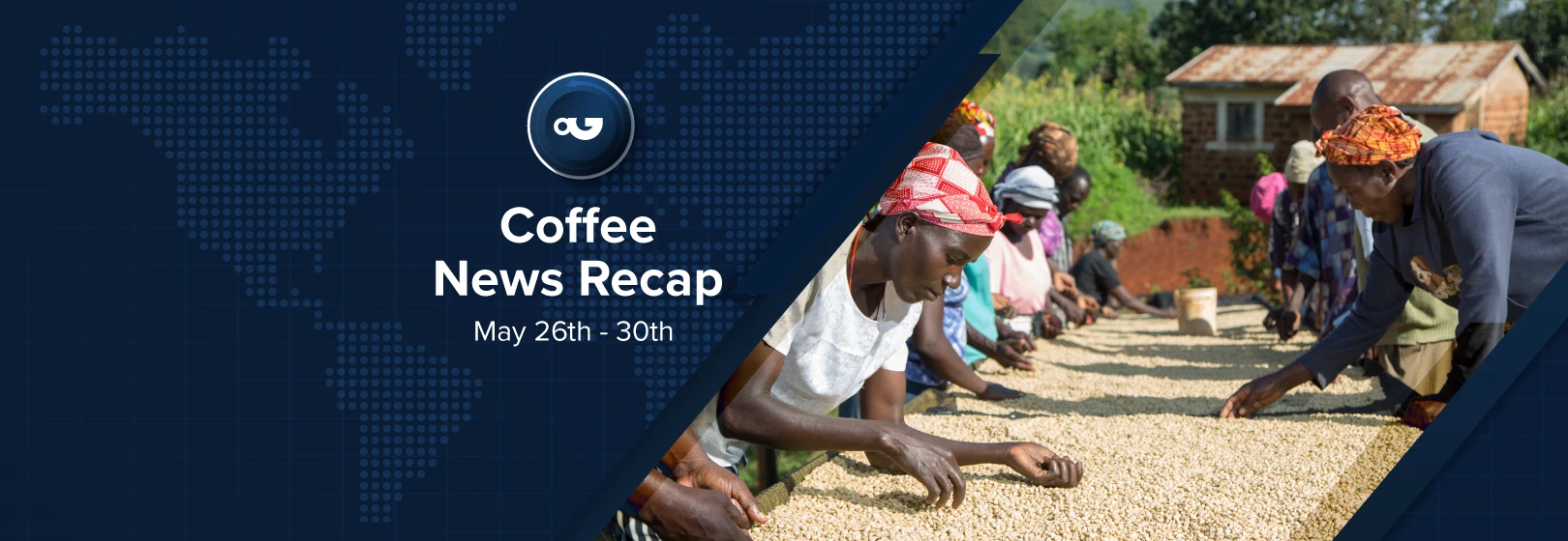Espresso Information Recap, 30 Might: Ethiopia eager to clash report US bn in espresso export earnings, Ecu international locations request additional delays to EUDR & alternative tales