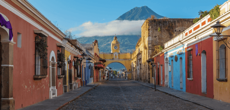 Guatemala Coffees 2024: Vintage with a Geisha Spice up