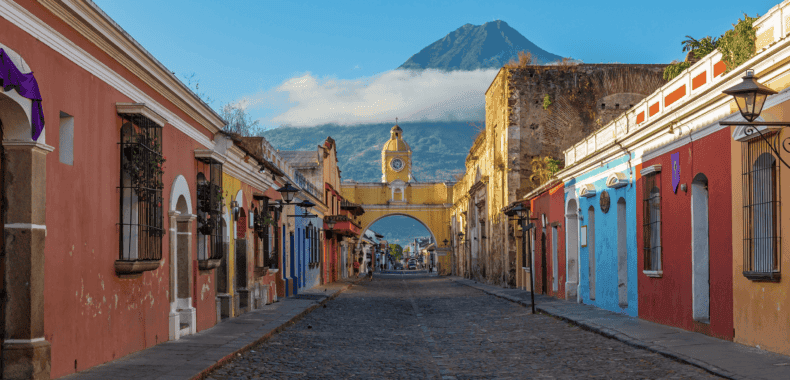 Guatemala Coffees 2024: Vintage with a Geisha Spice up