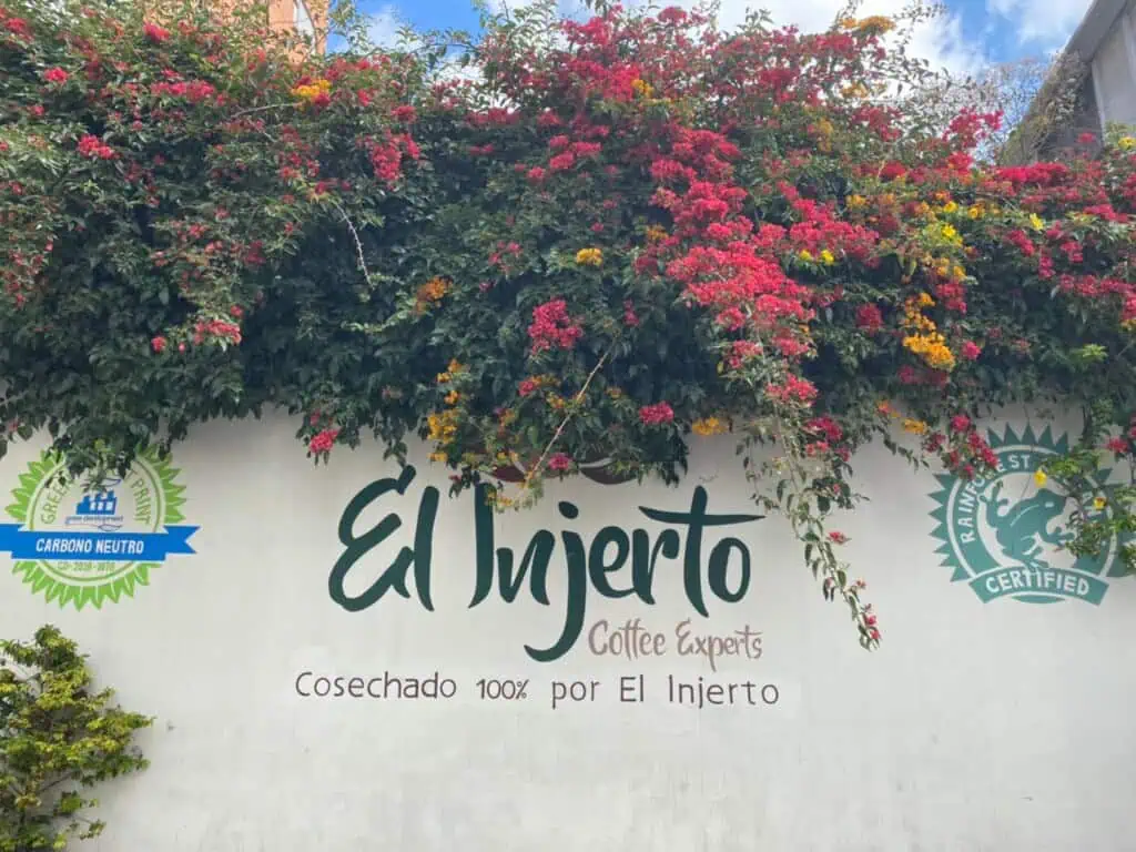 Guatemala Coffees 2024: Vintage with a Geisha Spice up