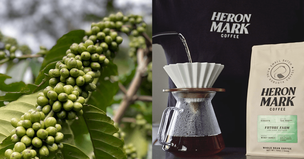 Robusta’s revival continues: What does it heartless for espresso manufacturers? Robusta’s revival continues: What does it heartless for espresso manufacturers?