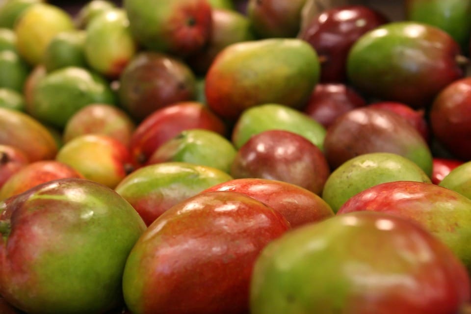 From Farm To Face: The Rise Of Natural Beauty Ingredients From Farm To Face: The Rise Of Natural Beauty Ingredients