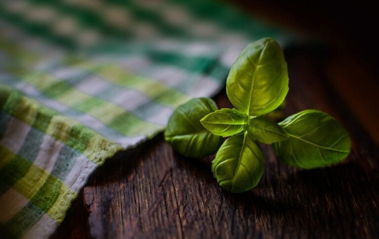 Going Green: Why Natural Ingredients are the Future of Beauty