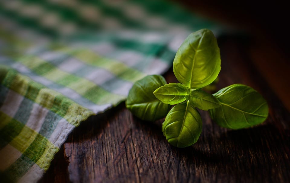 Going Green: Why Natural Ingredients Are The Future Of Beauty Going Green: Why Natural Ingredients Are The Future Of Beauty