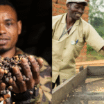 How can manufacturers power high quality in area of expertise espresso?