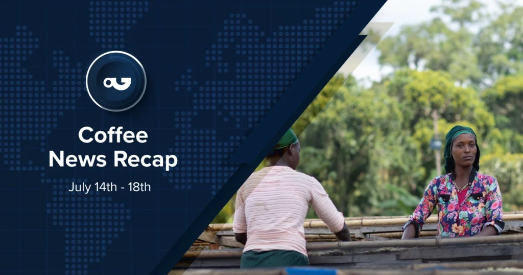 Espresso Information Recap, 18 Jul: Scooter’s Espresso reportedly taking into account US bn sale, China to take away all price lists on African coffee-producing international locations & alternative tales