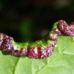 10 Surprising Ways to Speed Up Your Metabolism