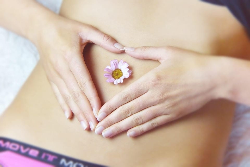 Gut Health 101: Understanding the Basics and How to Improve It