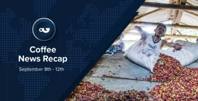 Espresso Information Recap, 12 Sep: Espresso probably discharged from US price lists in moment industry offers, Conab cuts Brazil 2025 arabica estimates via 5% & alternative tales