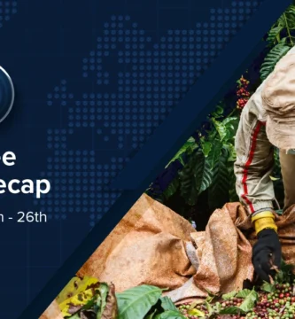 Espresso Information Recap, 26 Sep: Dubai café sells record-breaking Gesha for US0 in keeping with cup, Ecu Fee proposes backup one-year lengthen to EUDR & alternative tales