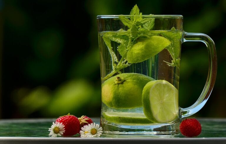 Herbal Detox: A Holistic Approach to Cleansing and Rejuvenation Herbal Detox: A Holistic Approach to Cleansing and Rejuvenation