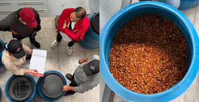 Manufacturers are pushing for extra innovation in espresso processing