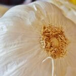 Revolutionize Your Beauty Routine with Natural Ingredients