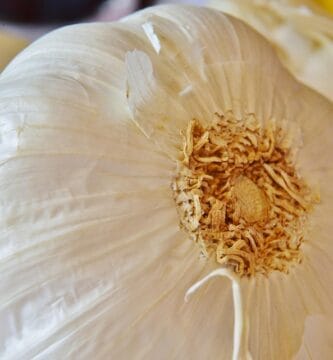 Revolutionize Your Beauty Routine with Natural Ingredients