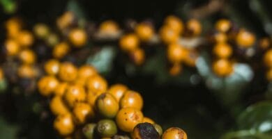 Slavery-Like Situations Reported + Get dressed Code Complaints