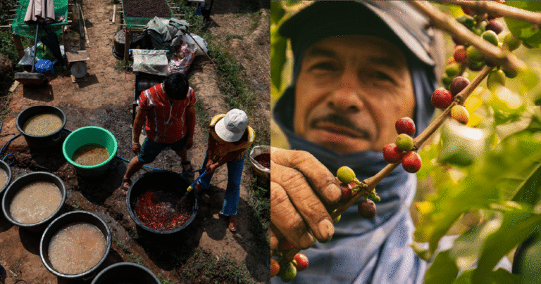 Espresso costs are larger now – so what’s nearest? Espresso costs are larger now – so what’s nearest?