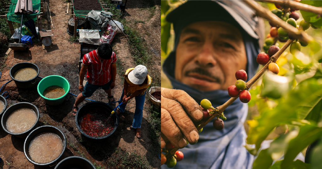 Espresso costs are larger now – so what’s nearest? Espresso costs are larger now – so what’s nearest?