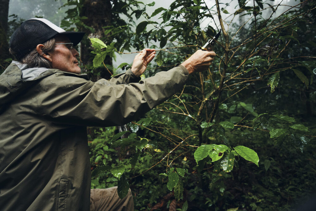 Longboard Area of expertise Espresso Units Public sale Data a While Nearest Founder Dies Longboard Area of expertise Espresso Units Public sale Data a While Nearest Founder Dies