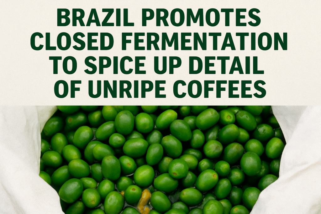 Brazil Find out about Promotes Closed Fermentation to Spice up Detail of Unripe Coffees Brazil Find out about Promotes Closed Fermentation to Spice up Detail of Unripe Coffees