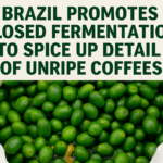 Brazil Find out about Promotes Closed Fermentation to Spice up Detail of Unripe Coffees
