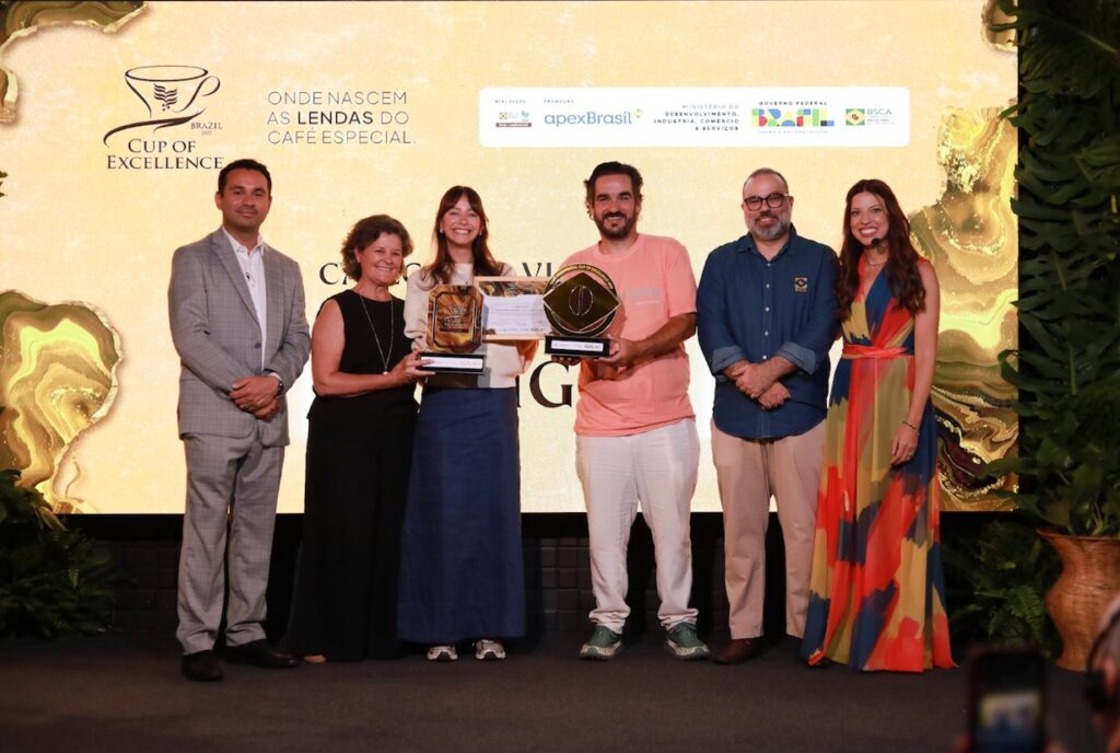 Brazil CoE Winners + Untouched On-line Scorching Categories Brazil CoE Winners + Untouched On-line Scorching Categories