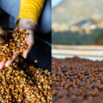 Co-ferments vs. yeast inoculation: What’s the residue?