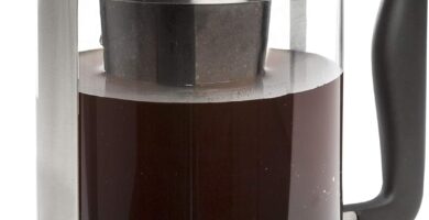 Primula Kedzie Deluxe Cold Brew Iced Coffee Maker Comfort Grip Handle, Durable Glass Carafe, Removable Mesh Filter, 6 Cup, Brushed Stainless Steel