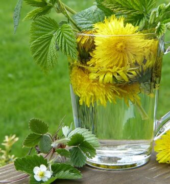 The Benefits of Herbal Detox: How to Cleanse Your Body Naturally