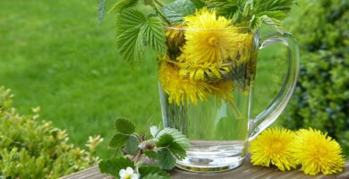 The Benefits of Herbal Detox: How to Cleanse Your Body Naturally